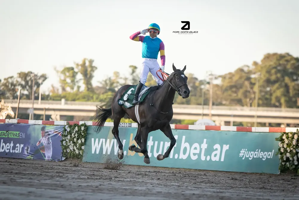 Ever Daddy Nacional (7)