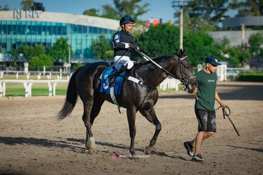 AIRES DE GLORIA (2 de 3)