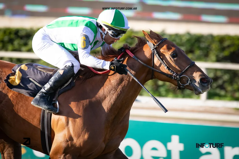 amiguita gina 2 copia