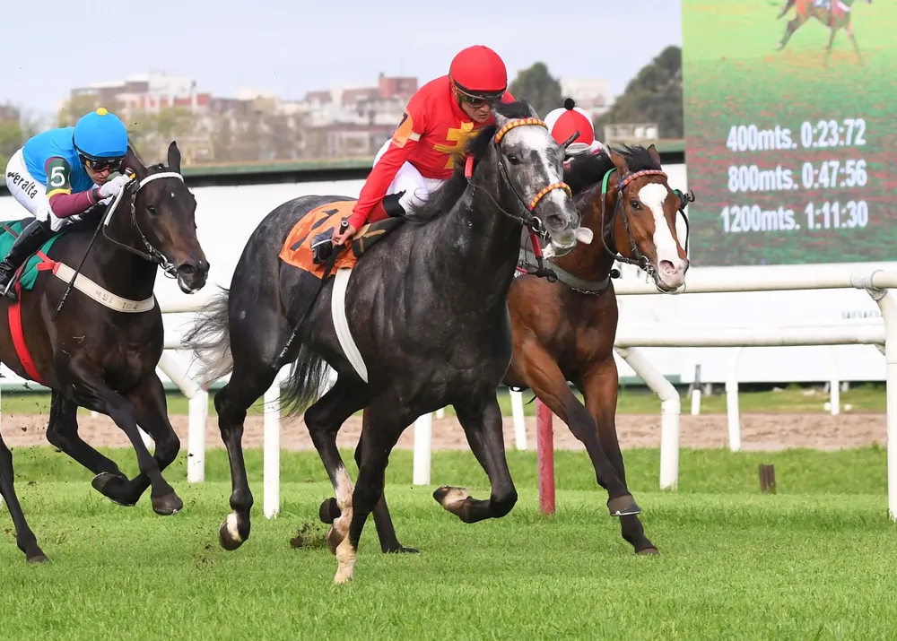 9° 07 THE OUTSIDER (3)