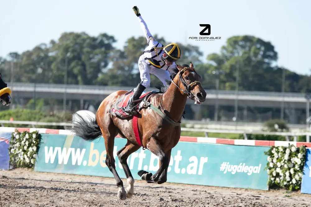 comando secreto G.P. PALERMO (2)