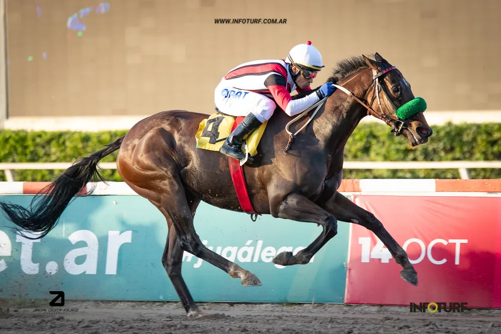 very rimout (2 de 3)