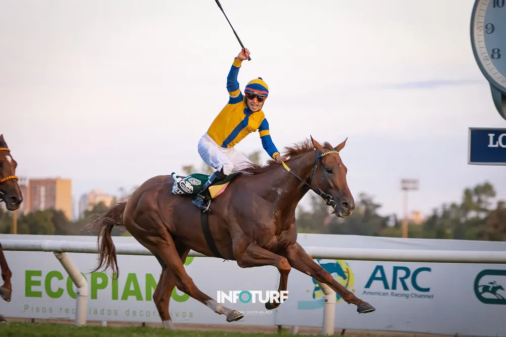 GREZZO MARTINEZ WEB-009