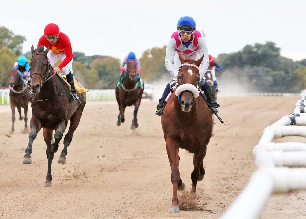 8º 06 OPERISTICO (10)