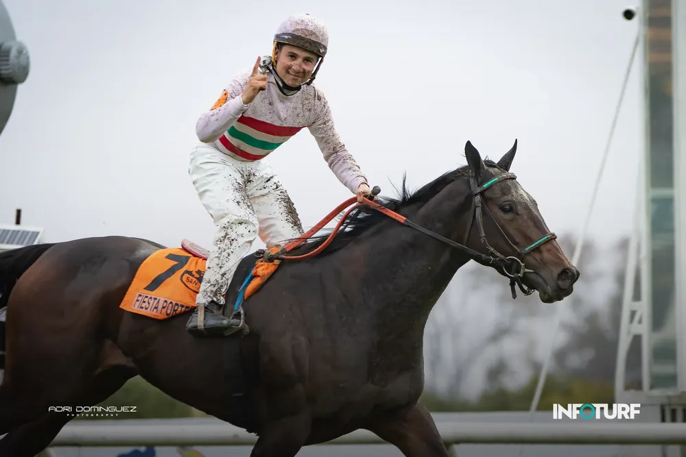 FIESTA PORTEÑA feed-2