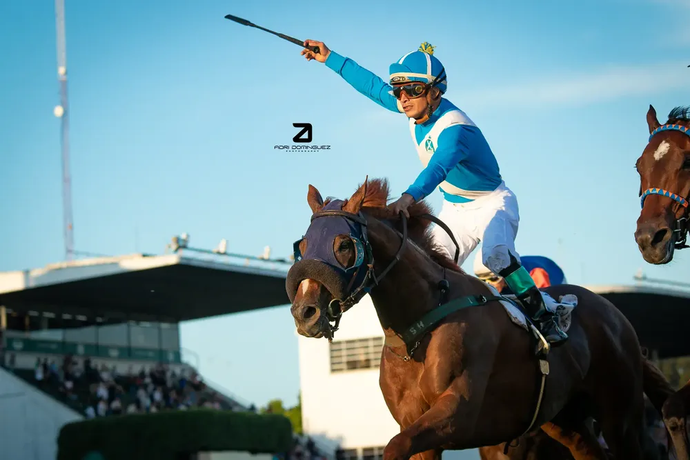 EL ENCINAL G.P. CARLOS PELLEGRINI (5)