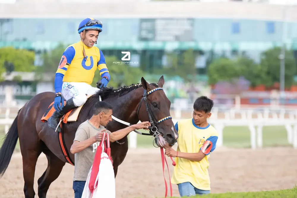 398976876_851376866987994_6220338151897397421_n