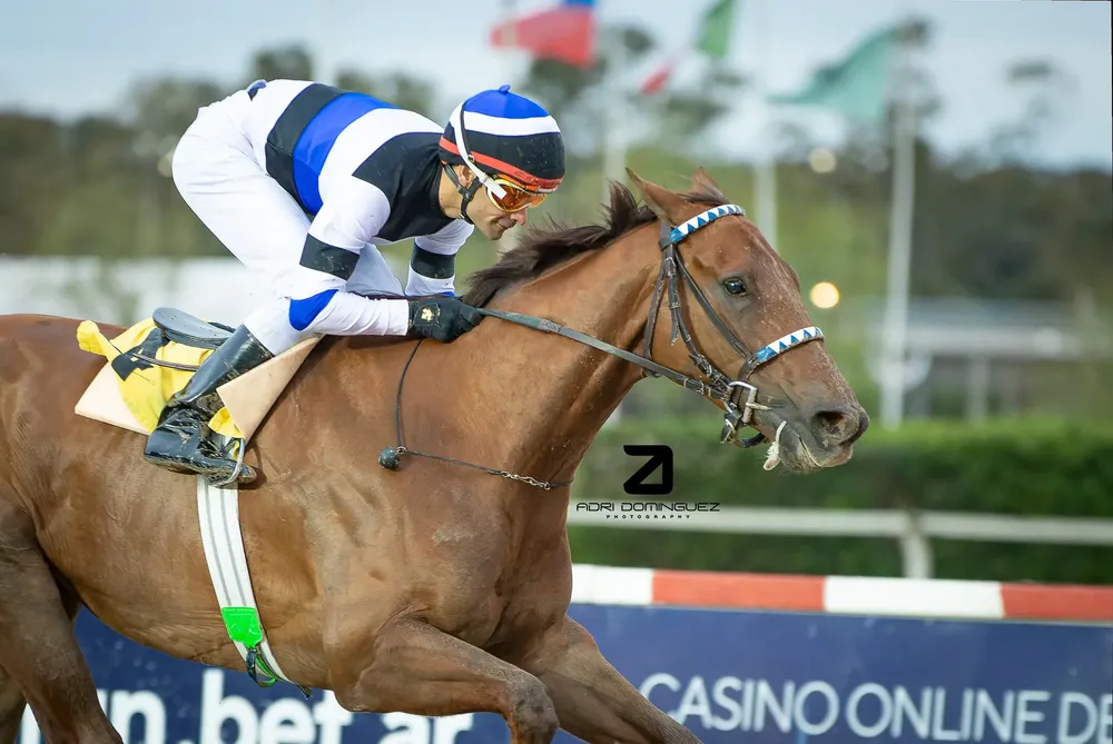 nos dijimos todo chile