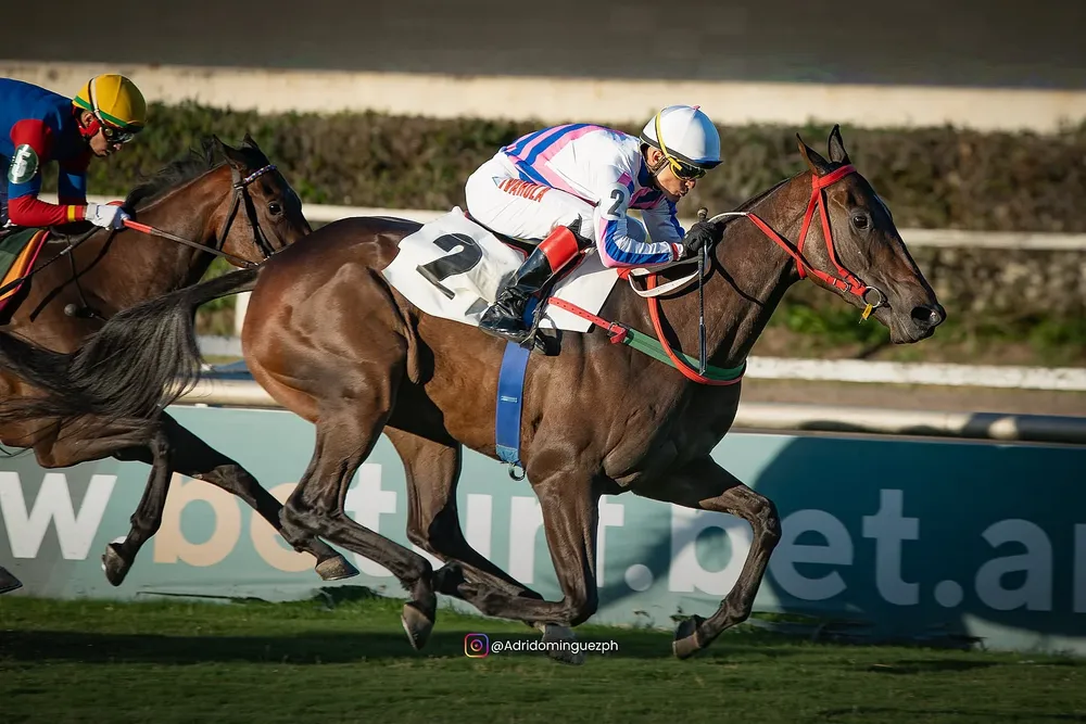 597903450_18304391872281511_2103672334124794270_n