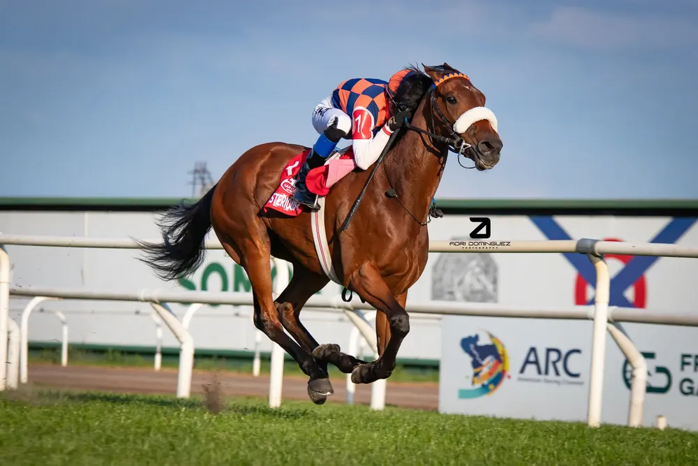 Mysterious Way - Los Haras (G2) (4)