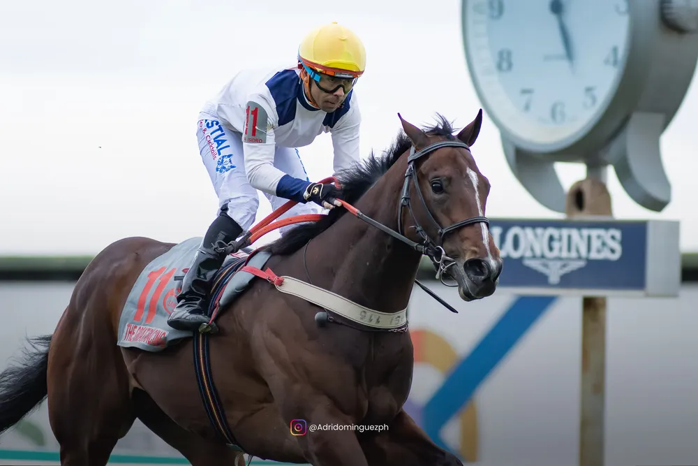 the great racing (1)