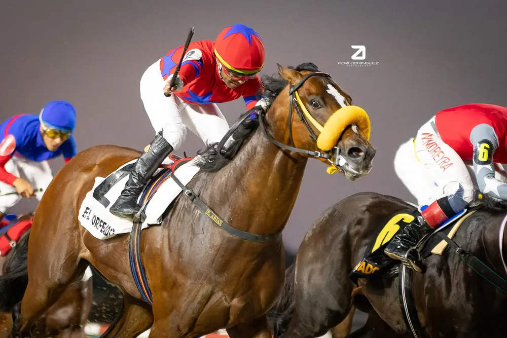 EL PORFEADO MAIPU (2 de 5)