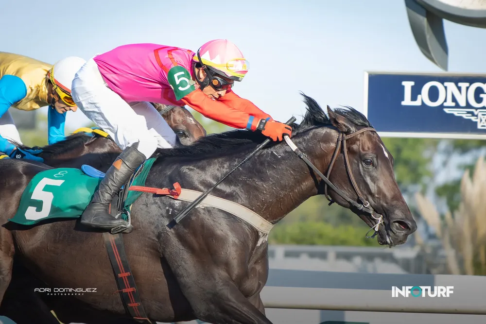 MISTER COQUETTE--009