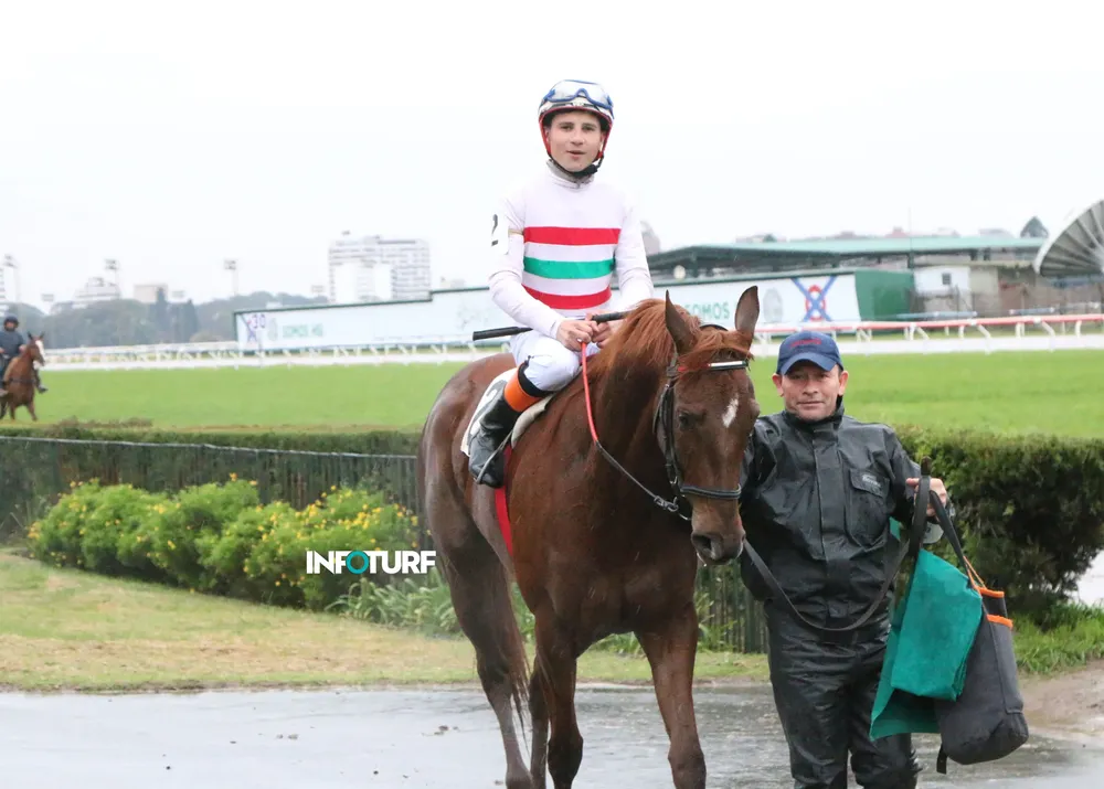 8 º 02 NANABUSH (10)