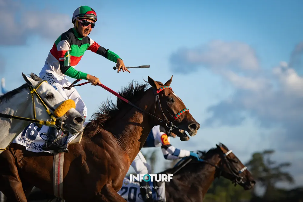 INTENSE FOR ME PELLE-2387