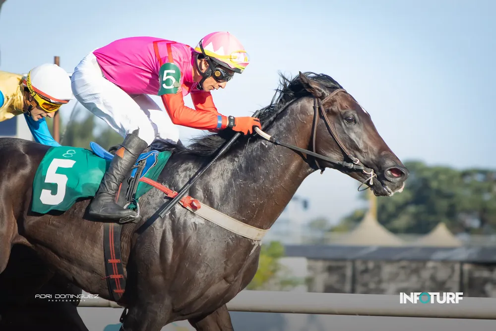 MISTER COQUETTE--010