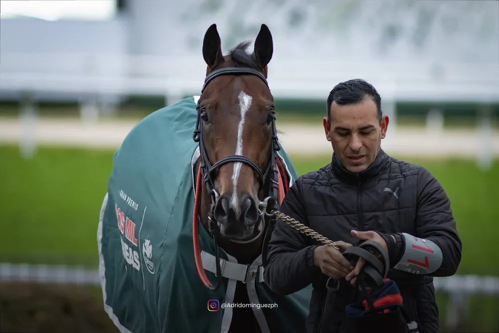 the great racing (6)
