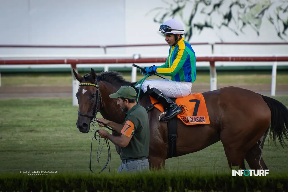 OBRA CLASICA INFO-007