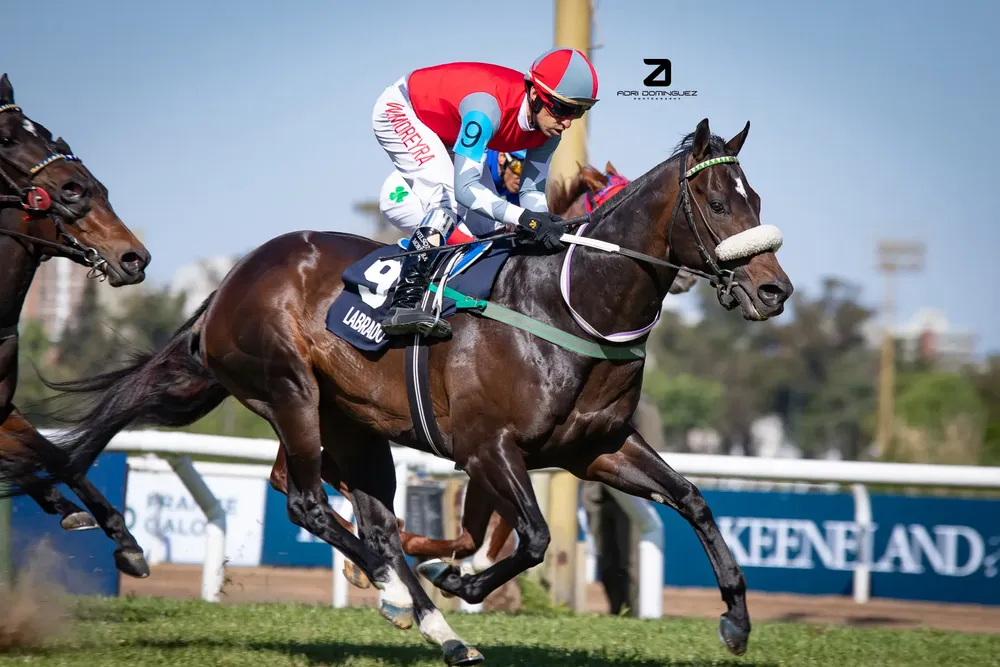 386553170_828298209295860_8306268397794689980_n