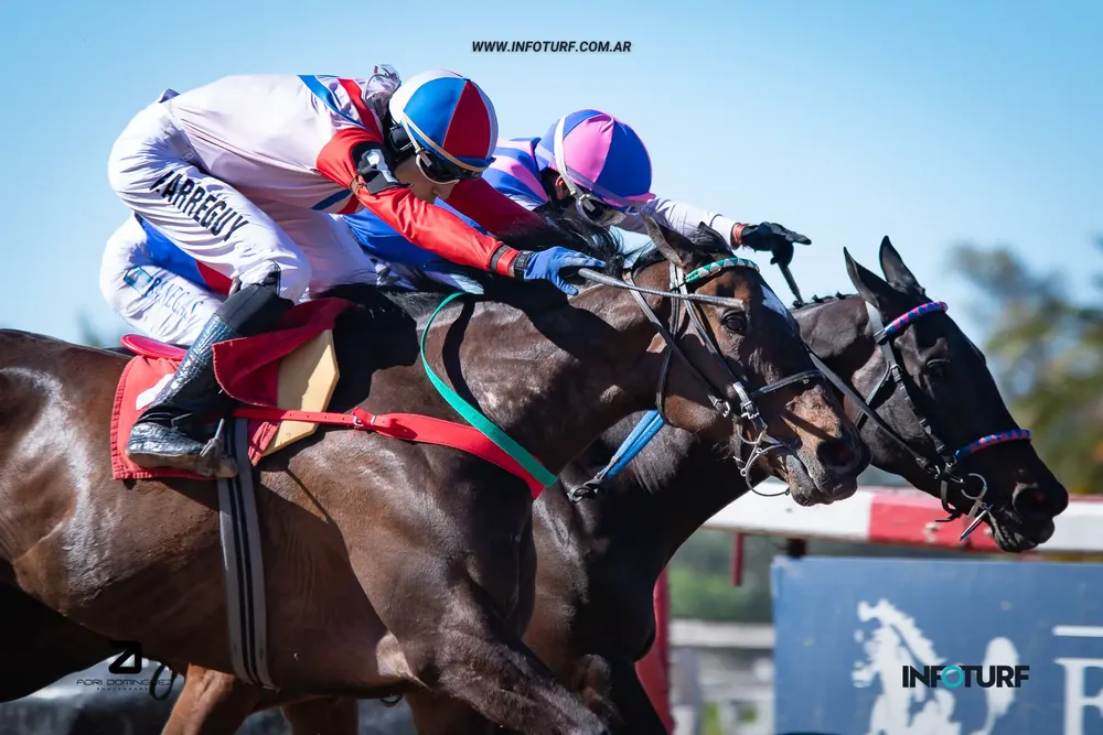 JOY MIRENLA (1 de 2)