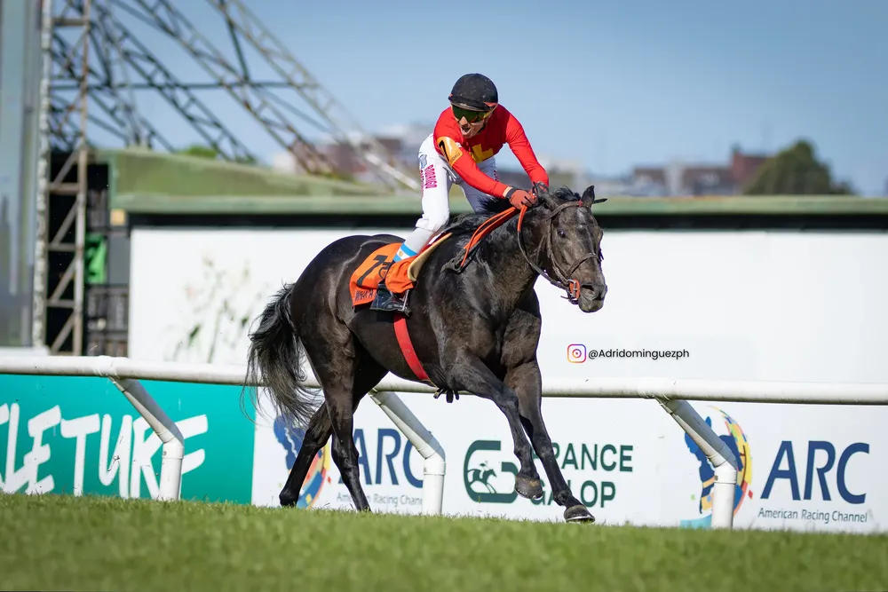 WHAT A MANO SAN ISIDRO