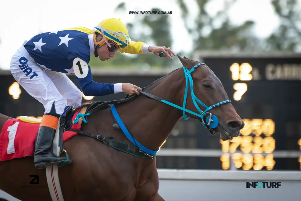 decimelo al oido (3)