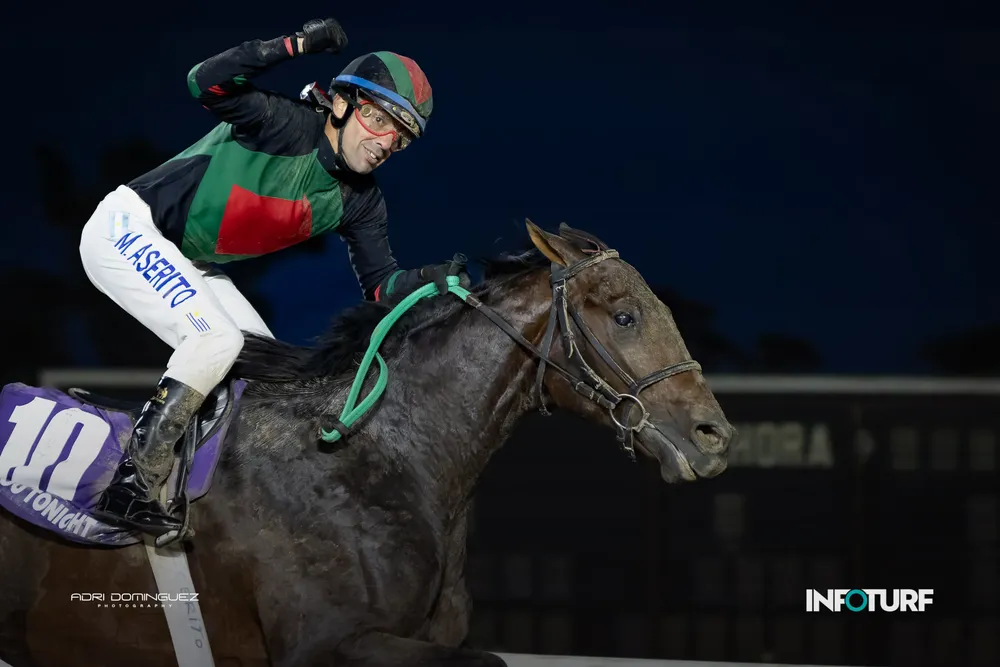 NEED YOU REPUBLICA-5