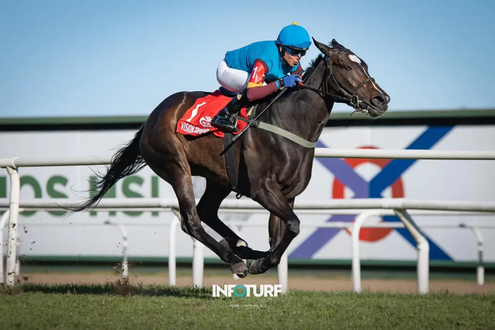 Vision Triomphe Los Haras (1)