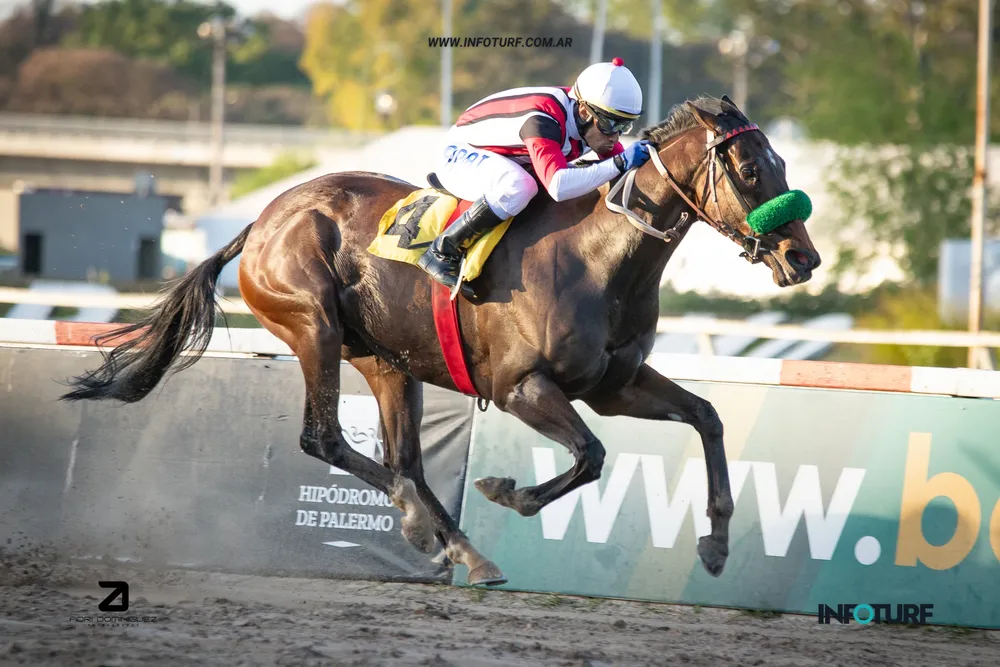 very rimout (1 de 3)