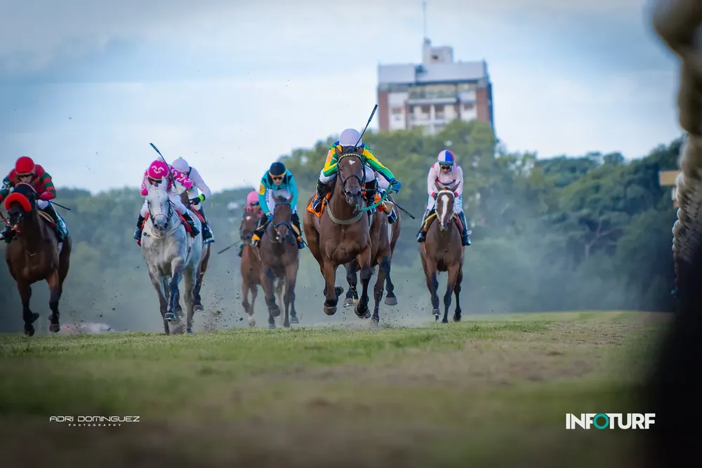 OBRA CLASICA INFO-001