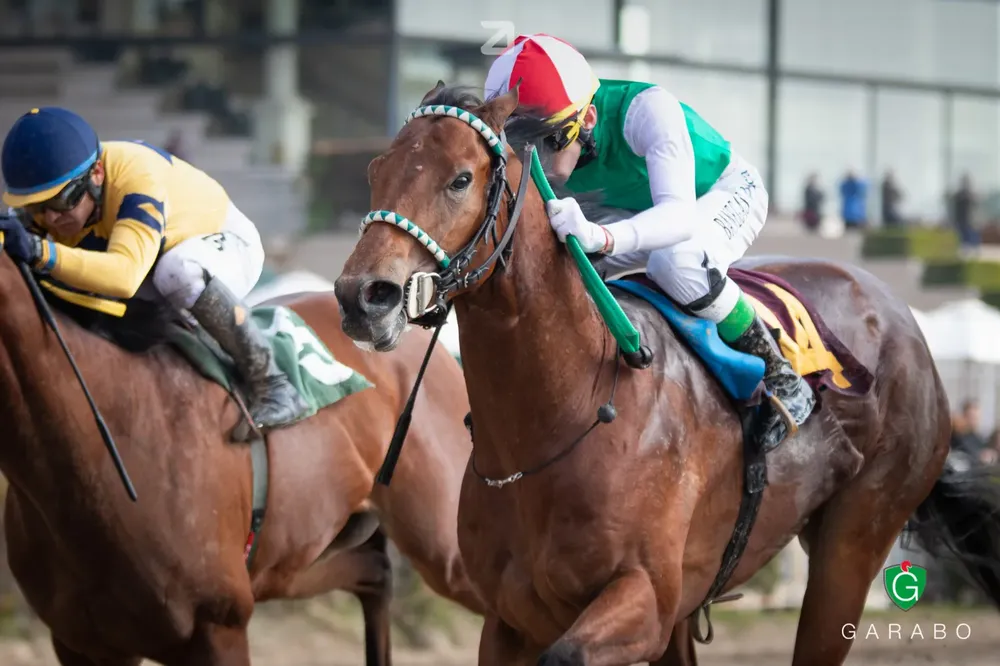 WhatsApp Image 2023-10-25 at 11.53.30