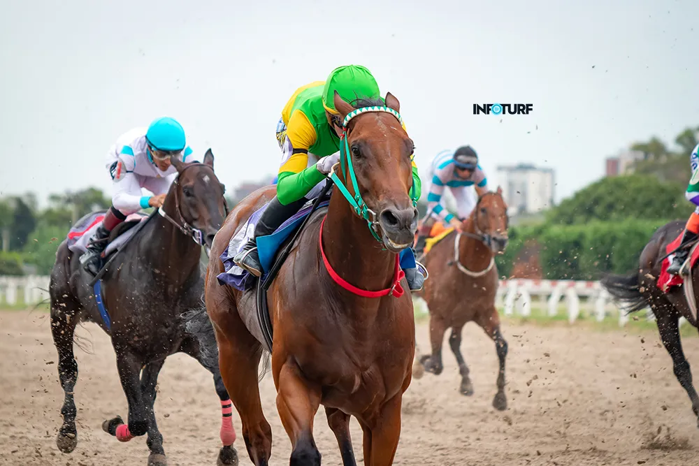 gonna fly now--2 copia