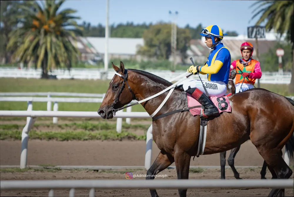 ES ARISTOCRATICO RECORD-3