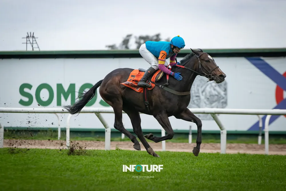 vision triomphe 2