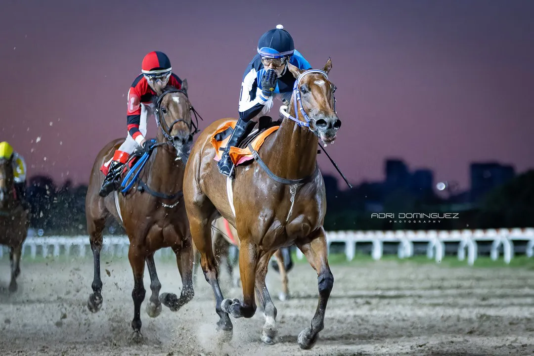 la clota venezuela (3)