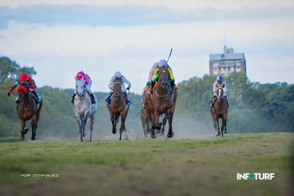 OBRA CLASICA INFO-002