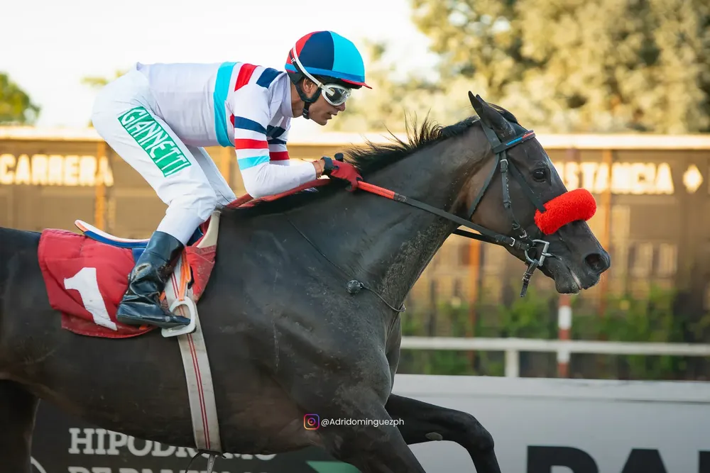 its my look web  (1 de 1)