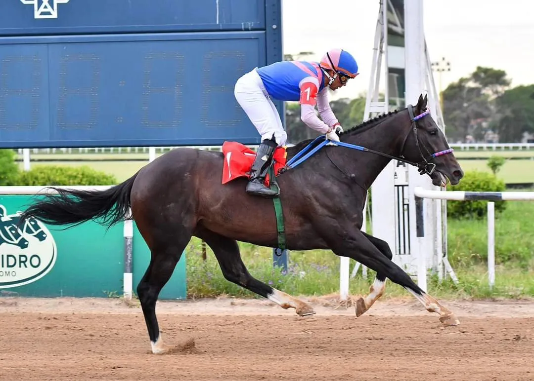 406392034_864628585662822_4971782856750308177_n