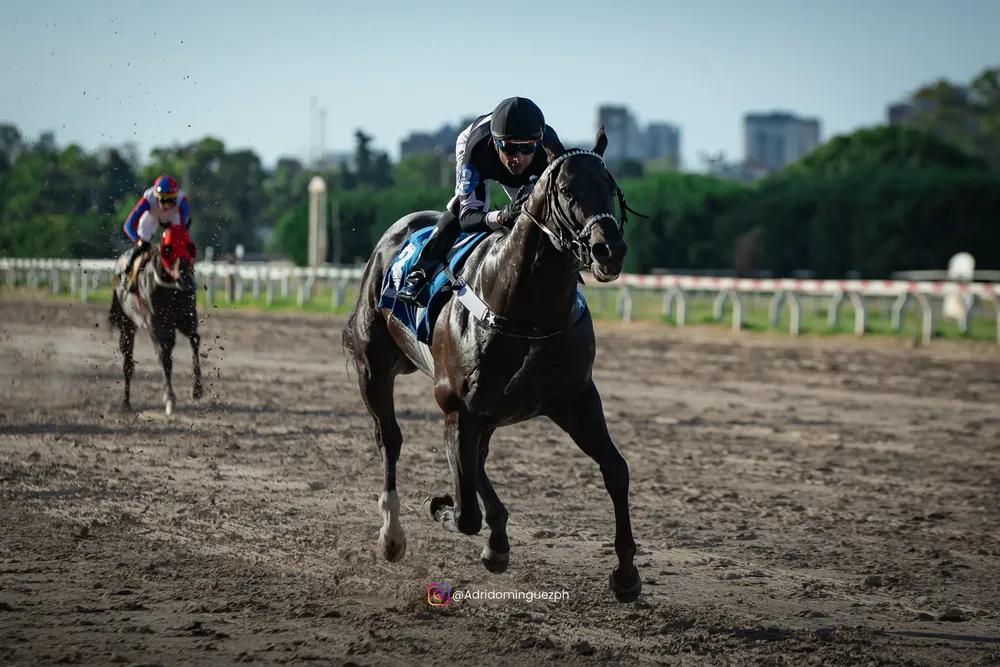 AIRES DE GLORIA (1 de 3)