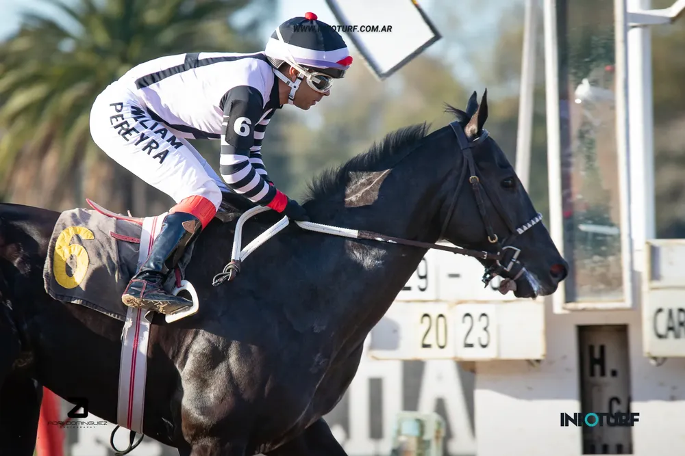 emmspacial boy (3 de 4)