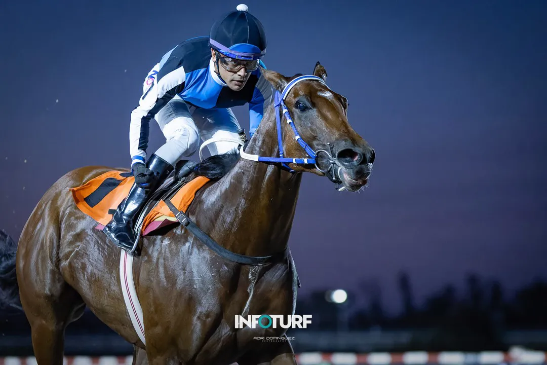 la clota venezuela (2)