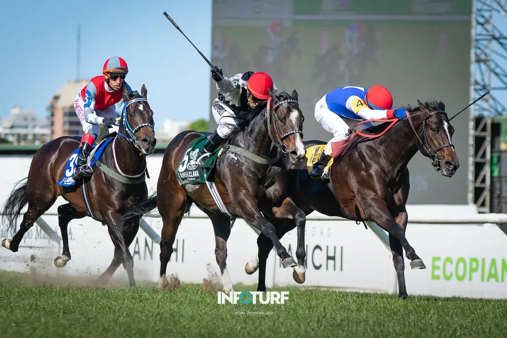 ANSIA CLARA - G.P. SUIPÁCHA (5)