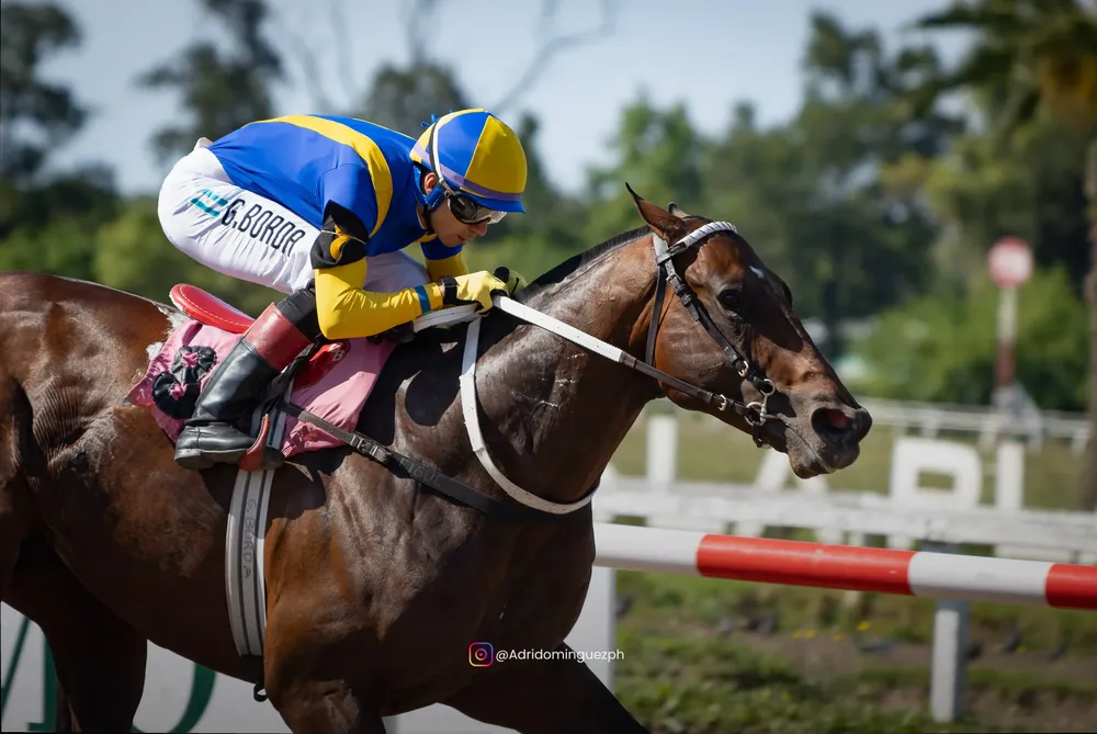 ES ARISTOCRATICO RECORD