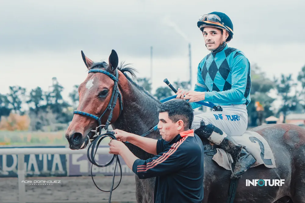 BOLERO FRANK (3 de 3)