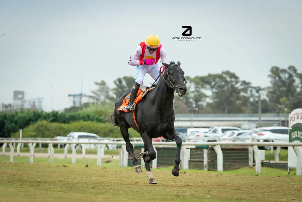 pepe joy san martin (2 de 5)