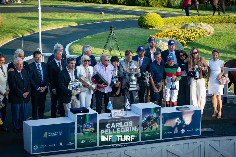 INTENSE FOR ME PELLE-2718