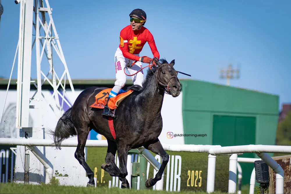 WHAT A MANO SAN ISIDRO-2