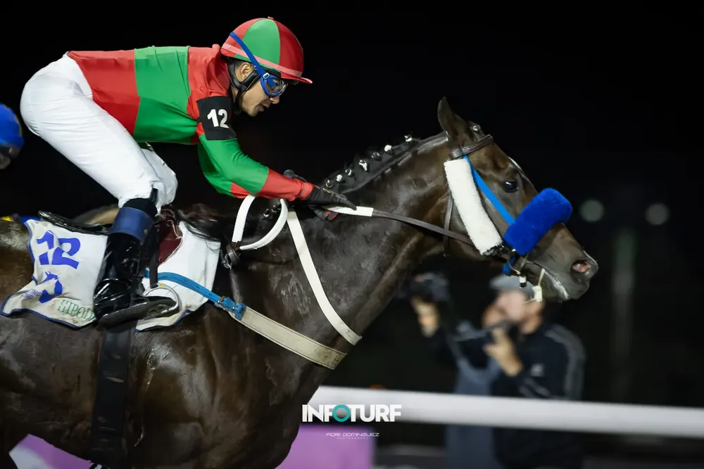 el mejor recuerdo--2