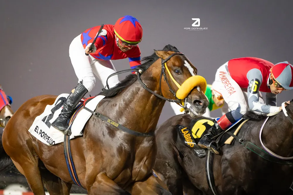 EL PORFEADO MAIPU (3 de 5)