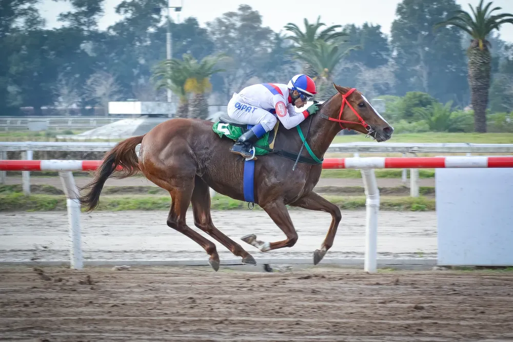 ILA ALEGRE (2 de 3)